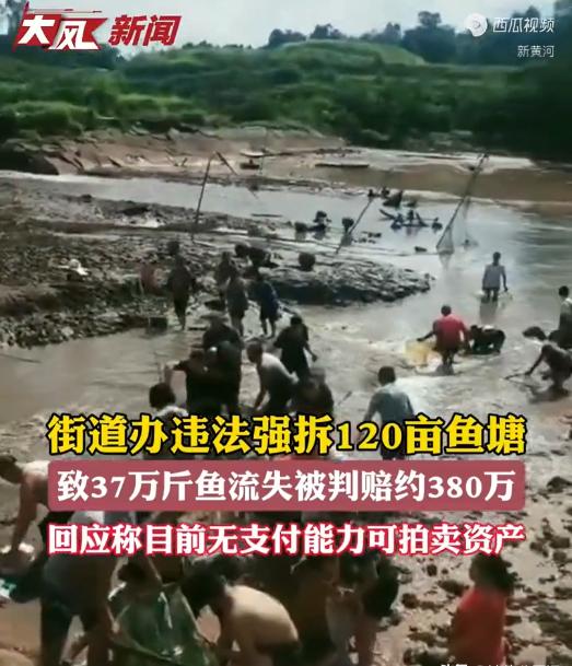 重庆，某镇镇长诚邀一对夫妻请该镇投资百万元，建设了120亩鱼塘，这对夫妻还给镇上