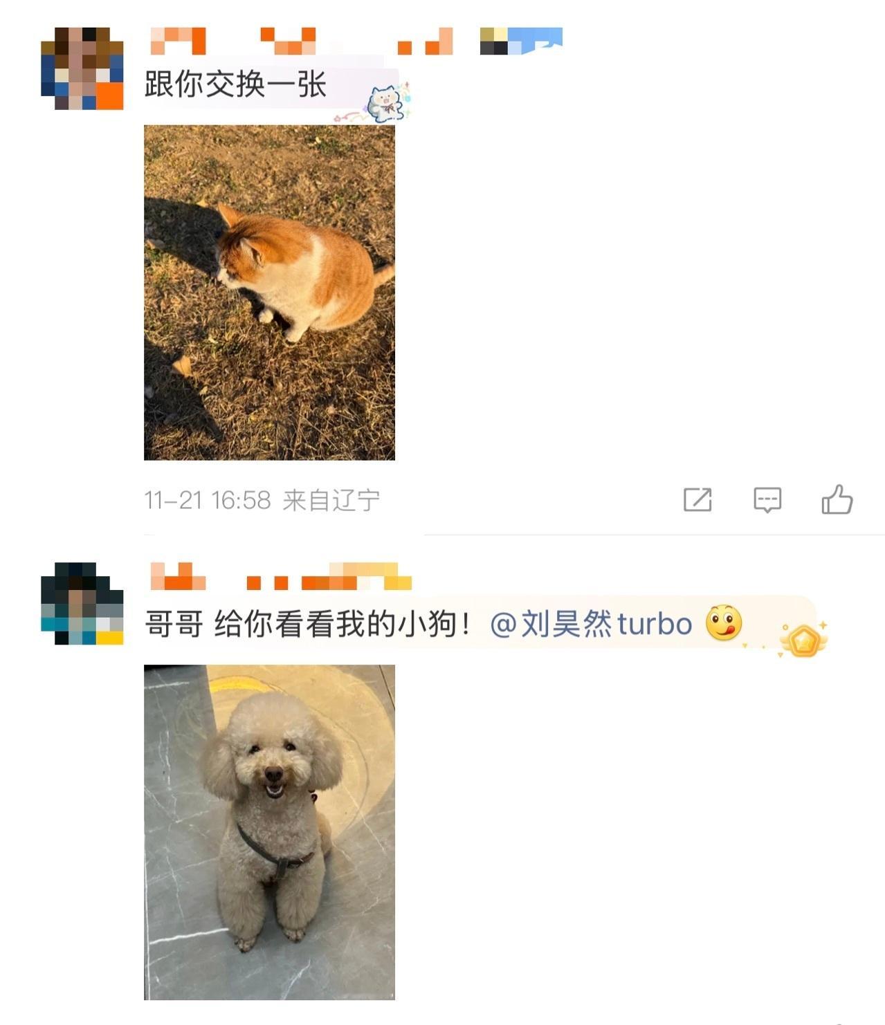 这是什么童话照进现实！昊然刚伸出友谊之手，全世界的爪子尾巴翅膀都来击掌。建议开发