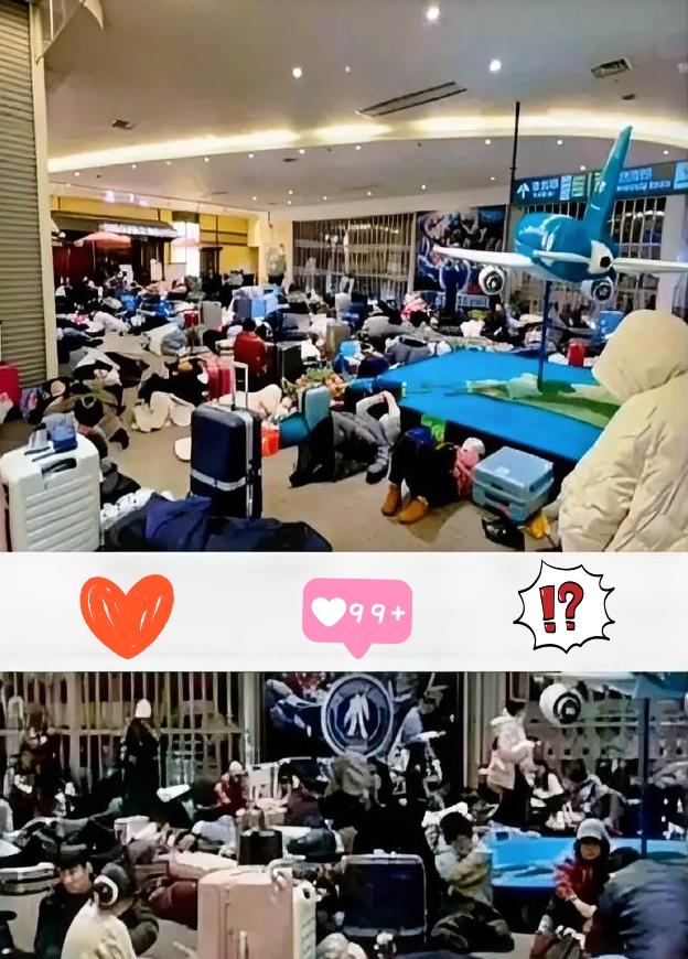 1800名游客被困北海道机场，闹着要“包机”回国。可调查下来让人脊背发凉：他们中