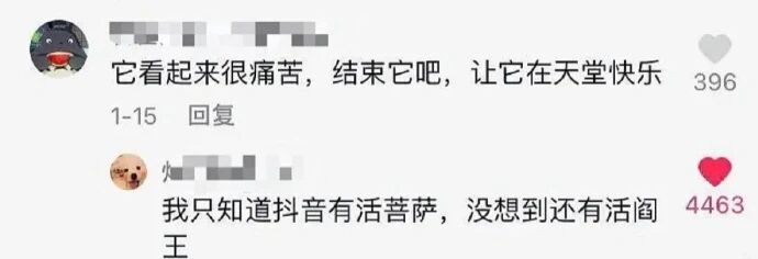 喜欢看这种强行接地气文学
