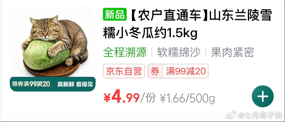 我买了冬瓜，为什么没送我小猫找到了普通人过得舒服的捷径