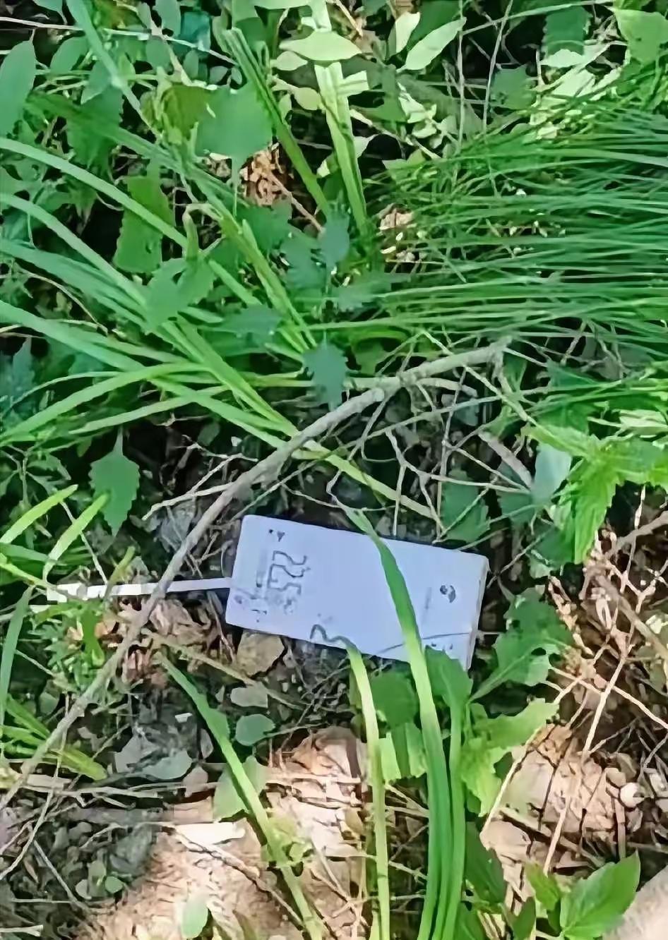 这是程梦圆的手机和背包，是一个叫白银海的退伍军人找到的。大家都都管他叫三大爷，他