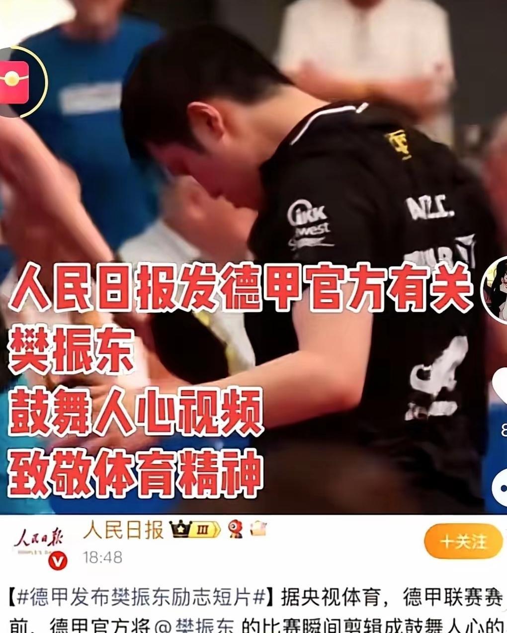 樊振东和许昕都是上海乒超俱乐部的。樊振东还是龙蟒獒三剑客一起带着，拼着长大的。樊