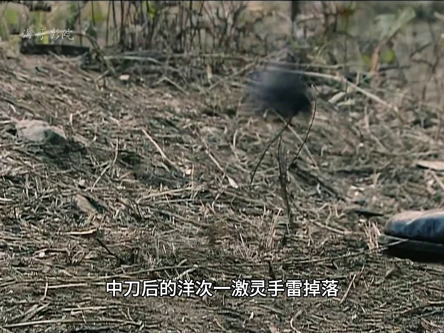 大结局。勿忘国耻，向所有为抗战胜利的英雄致敬！