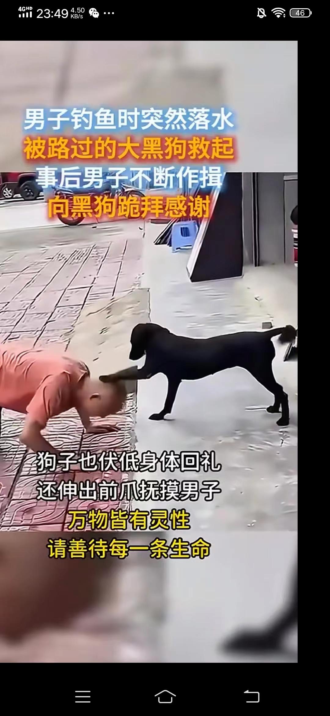 这条狗太有灵性了！这天，男子到水库钓鱼，因不小心掉到水里了，这时大黑狗经过将男