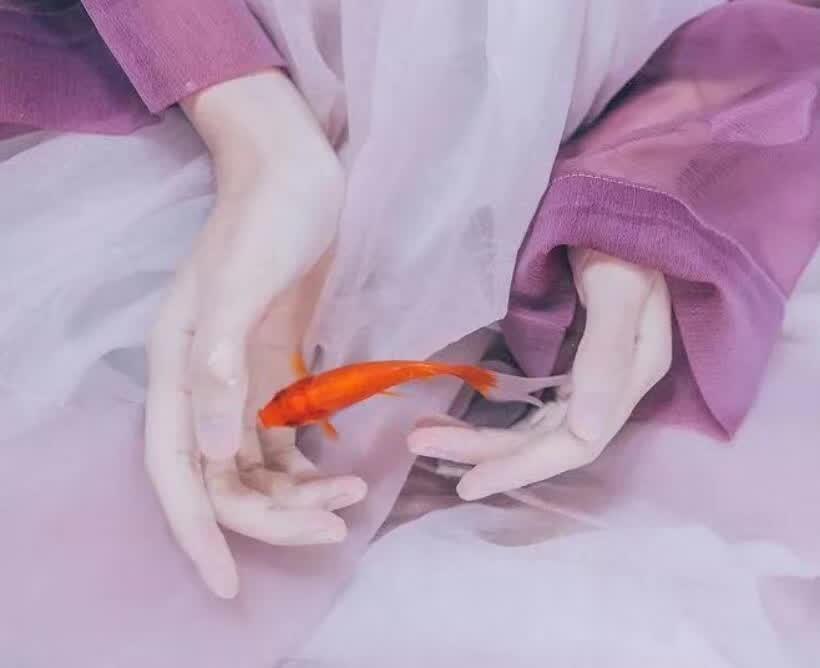有这么几件事情往往会让人彻夜失眠:其一是身体上的伤痛；其二是心理上的伤害；