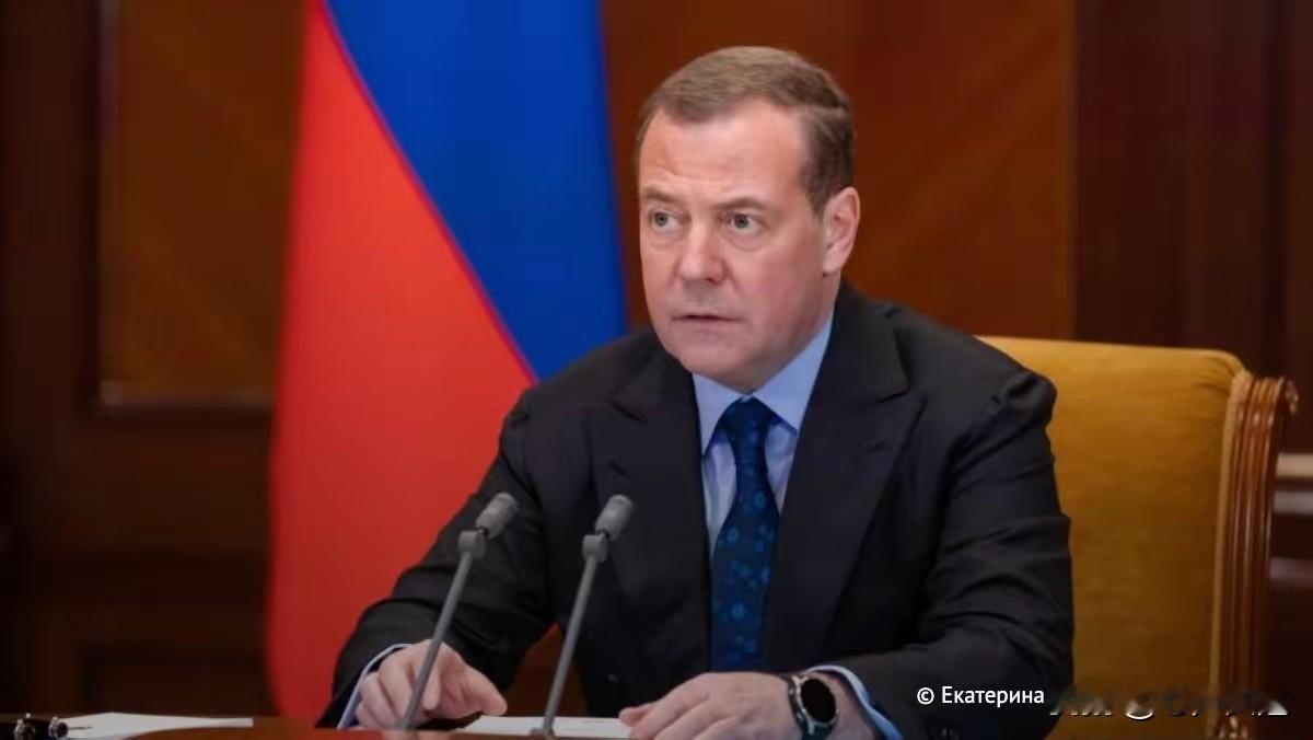 欧洲又挨了一刀子!在当地时间1月12日梅杰韦杰夫在社交平台上写道：“根据未经核实