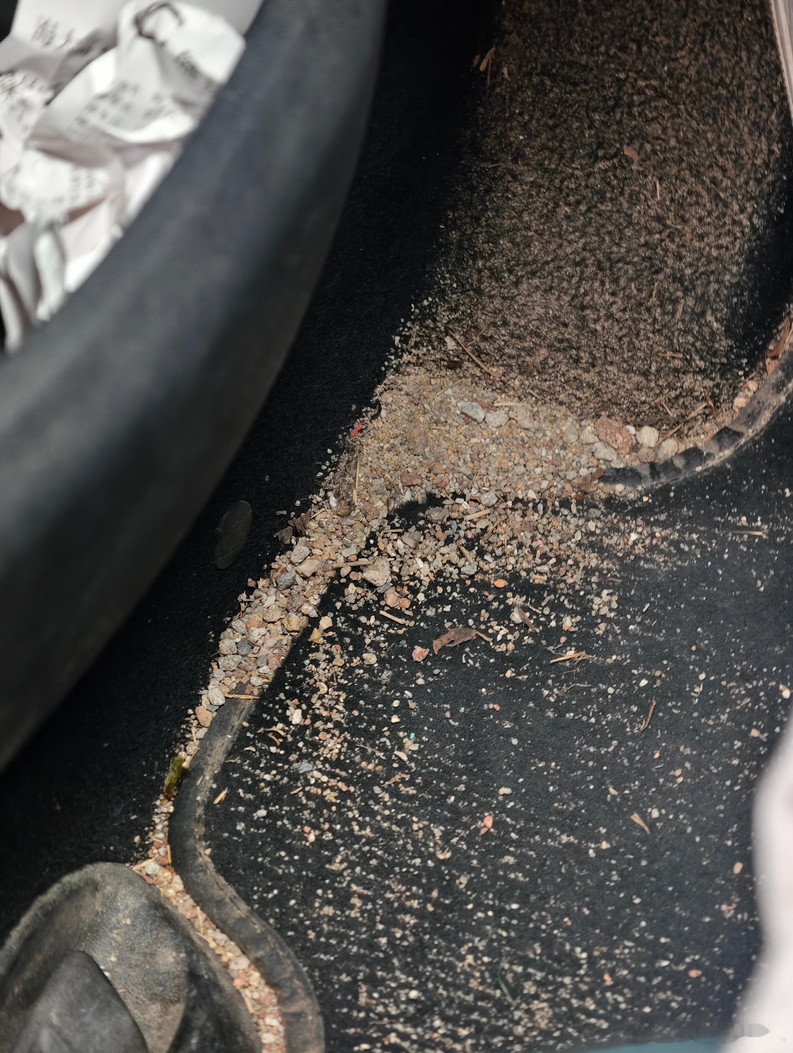 一台家用车是怎么能开到这么脏还不洗车的[捂脸哭]你们受得了吗？​​​