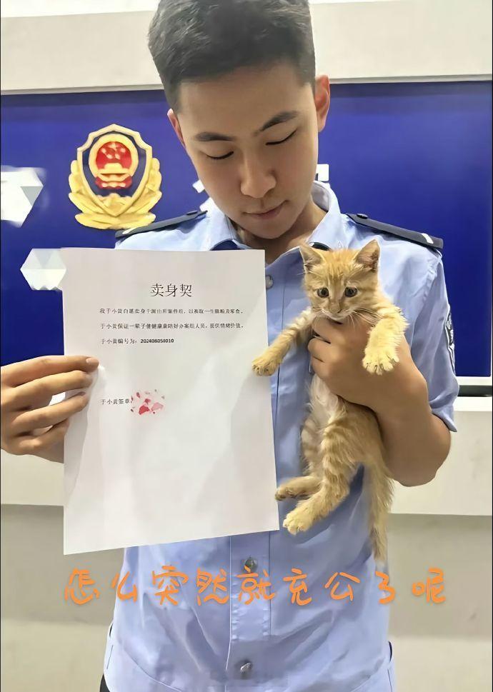 流浪好好的，突然有家了​​​