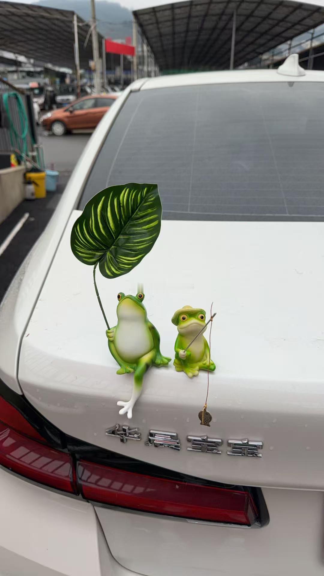 朋友买了两只青蛙放在后备箱，结果被偷了两次，今天又把他补齐了