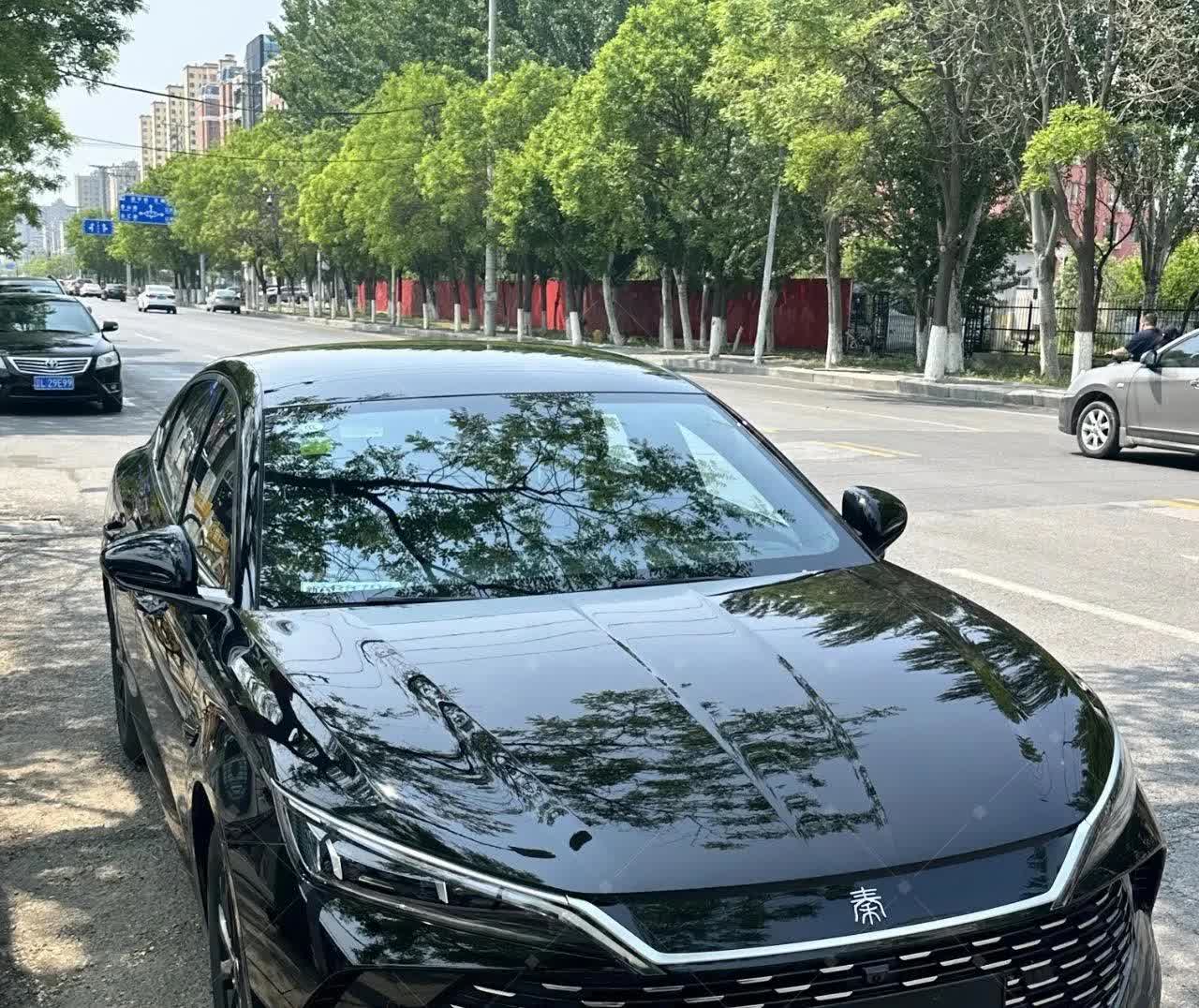 5.98w提到25款秦L智驾版啦！我买的是白色车车，刚贴了钢琴黑车衣，哇塞简