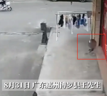 悲剧还是发生了！8月31日，广东惠州，一男子在店里饲养了一只会说话的“八哥”，结