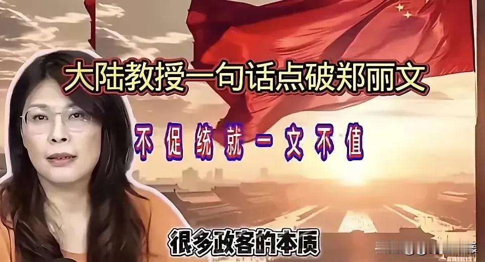 最近看到大陆教授一句话点破郑丽文，太解气了！大陆学者高志凯讲了一句大实话。