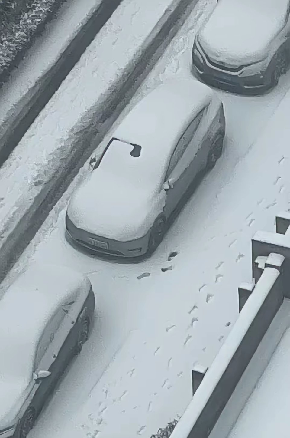 特斯拉的这个位置咋就没被雪盖住呢？车停在露天的地方，早上起来一看，下雪了，车上有