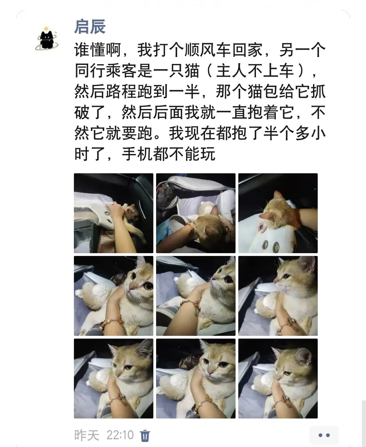 您的一个乘客突然躺在了另一个乘客的怀里