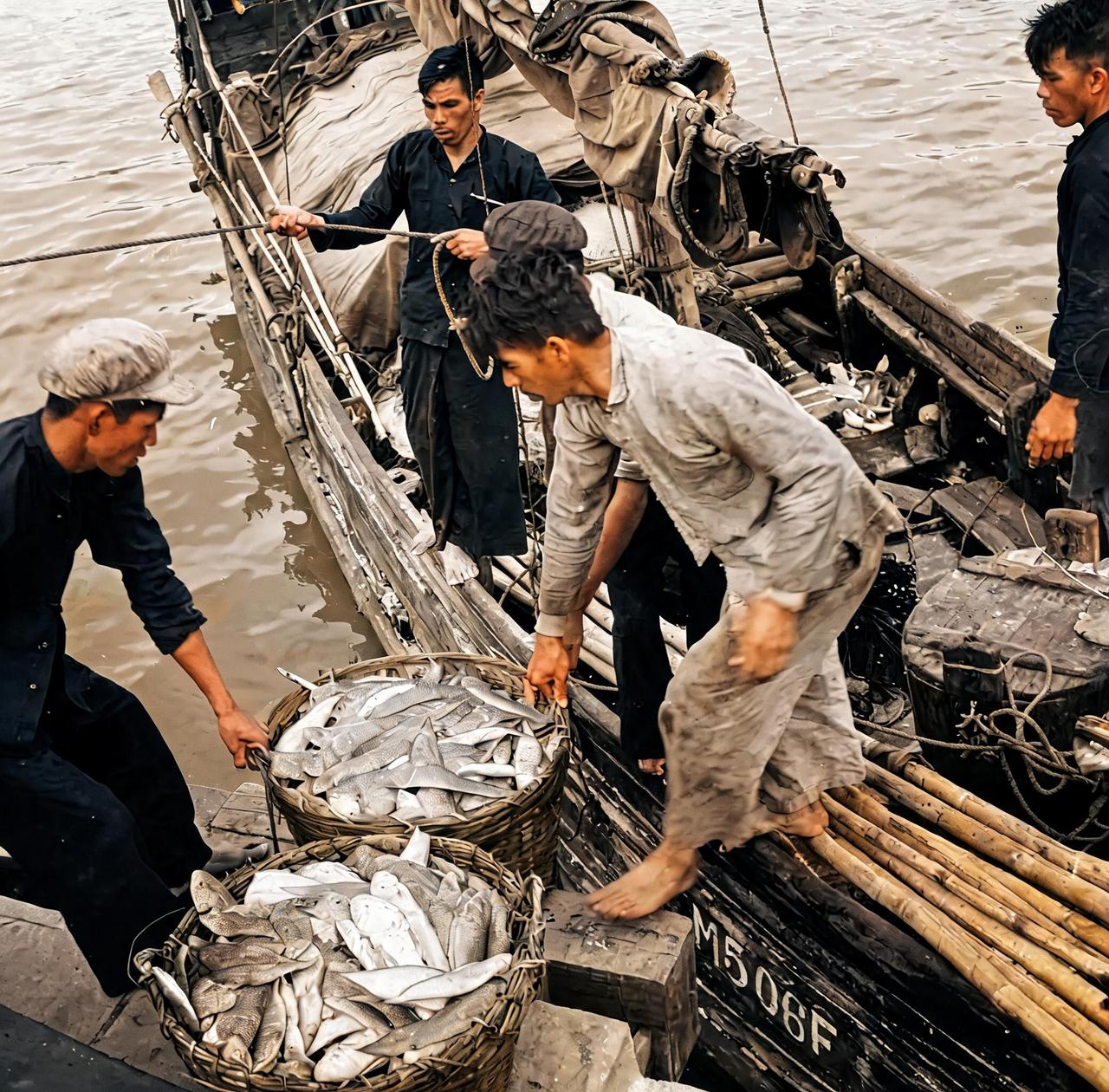 这是1955年香港仔港口的疍家人的生活状态。疍家人将一筐筐的鱼运到岸边，交换淡水