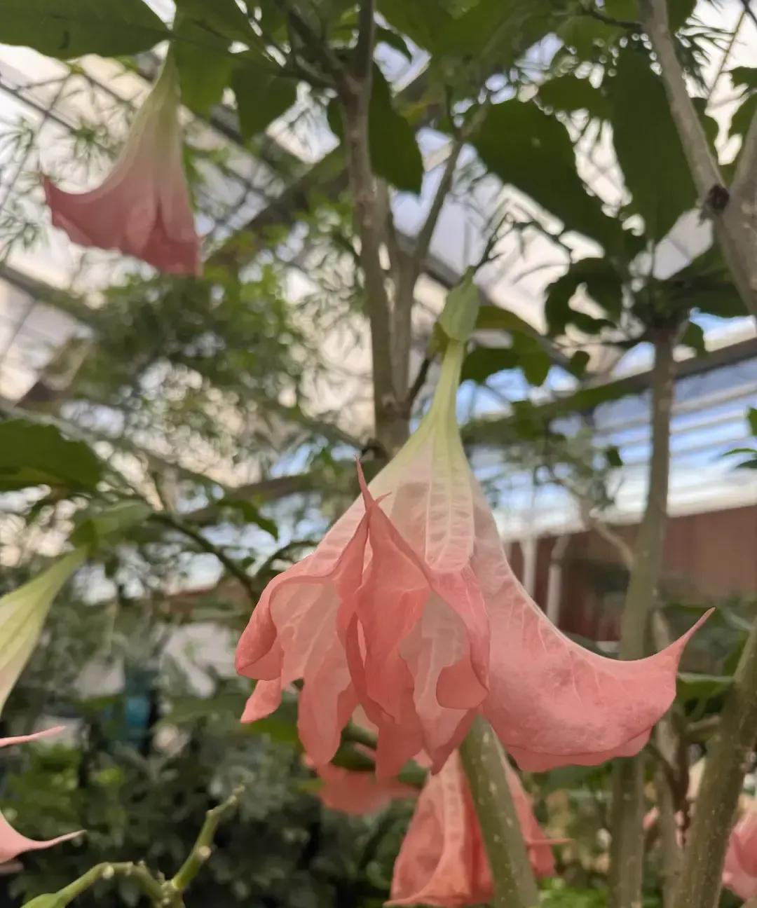 中考前三十的学霸，进高一两个月就趴桌睡觉，老师点名都不抬头。我看报道里说，物理