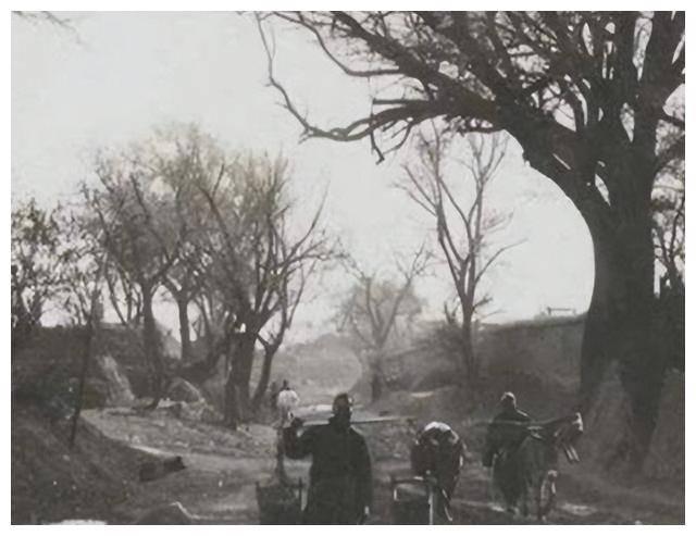 1941年，一个卖油郎问：“村里住多少八路？”小孩不假思索，脱口而出：“七八个！