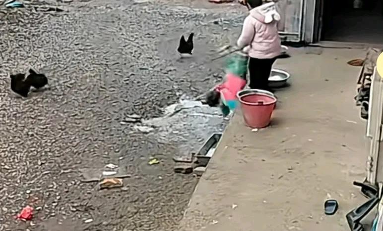 两孩子在院内玩耍，小宝从高台阶上头朝地摔下，大人出来第一反应先教育姐姐，不是