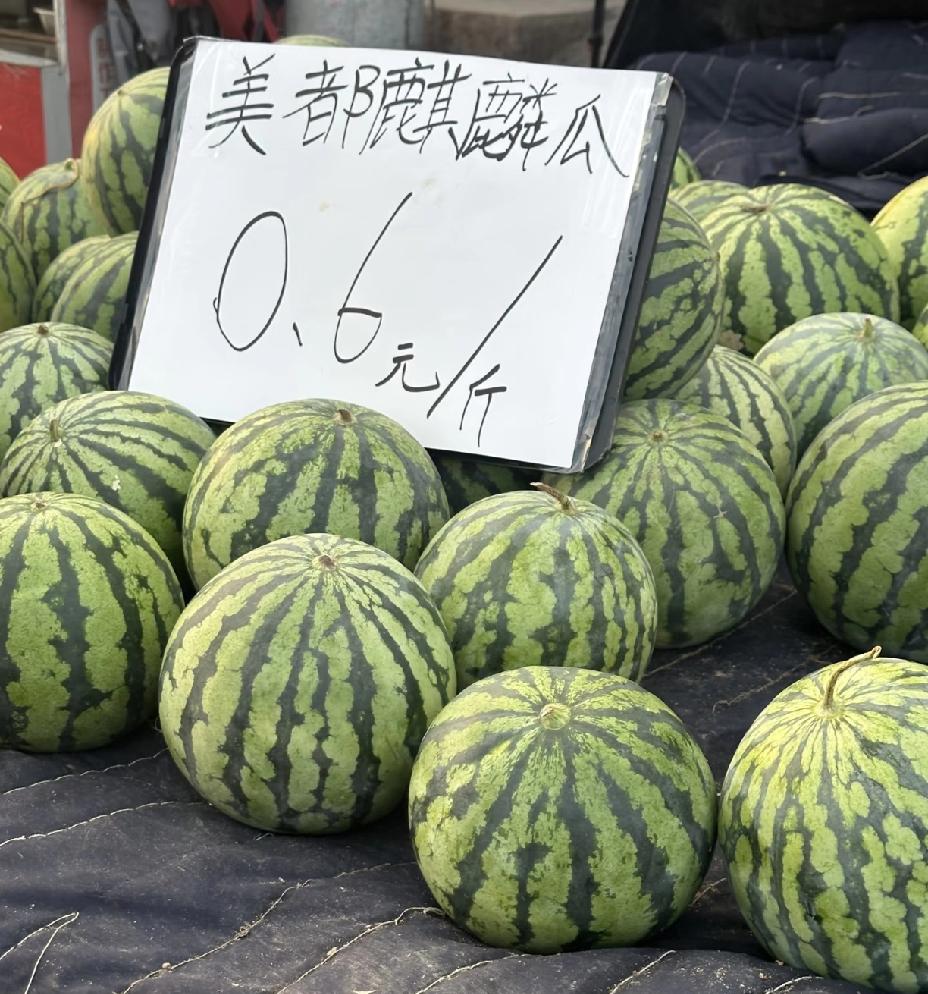 终于弄明白了，为什么河南西瓜能便宜到几毛钱一斤不是西瓜不好吃了，也不是没人