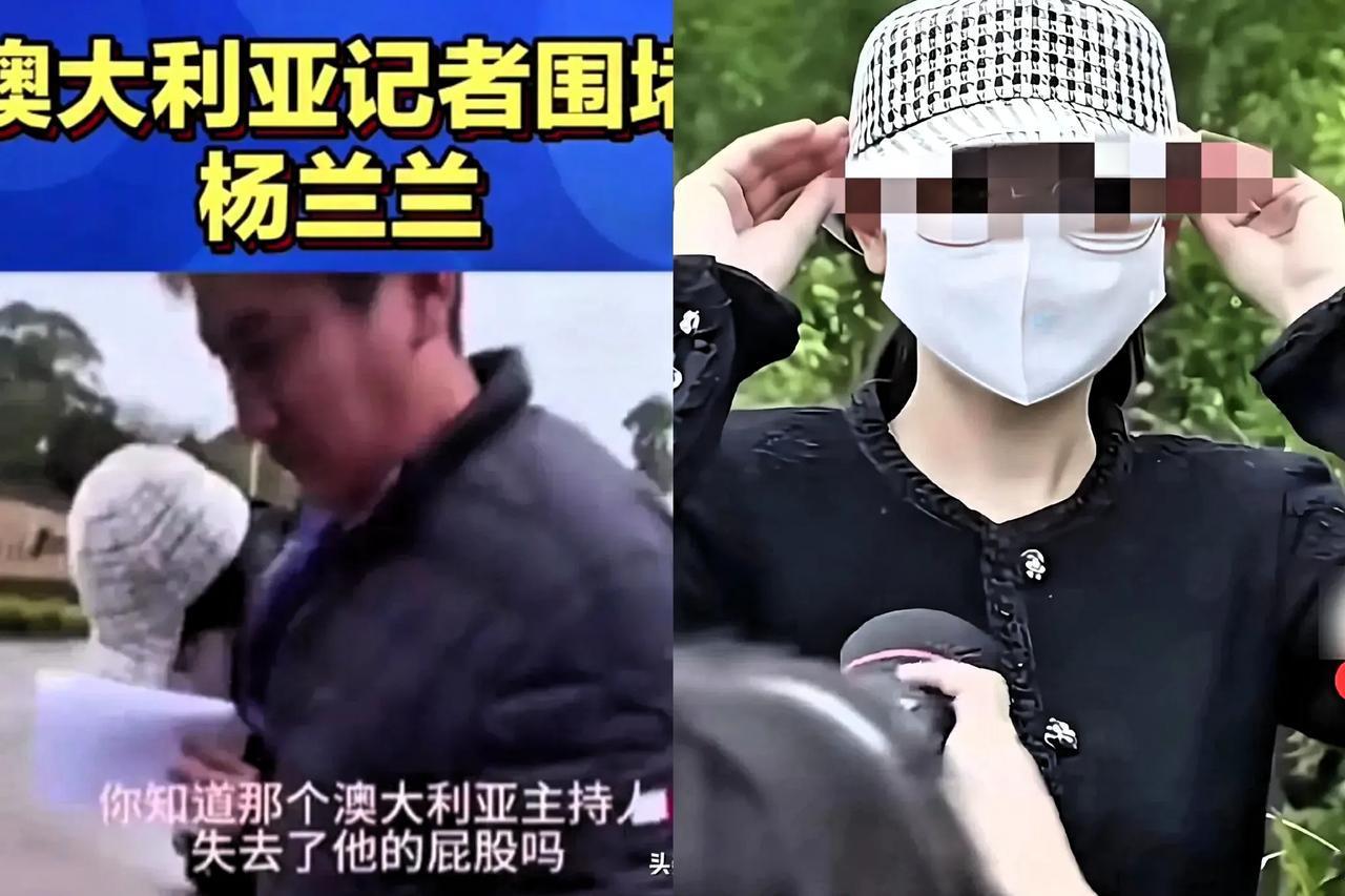 悉尼法庭门口那叫一个热闹，都瞅着一个23岁无业的杨兰兰呢。第三次上法庭，捂得严