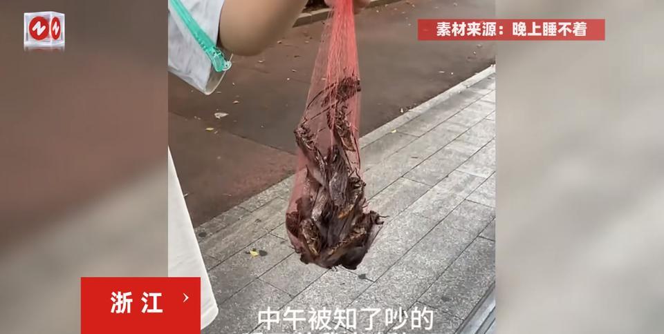 “这简直是捡钱啊！”7月5日，浙江，一男子在家里午睡的时候，被树上的知了猴吵的睡