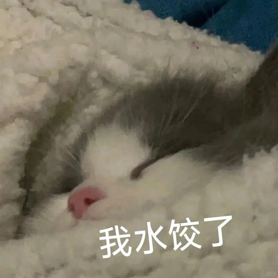 实用表情包2表情包​​​