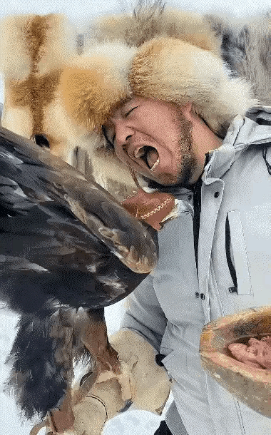 感觉养猛禽比养狗要费钱多了，猛禽的食量也是比较大的，而且吃的全是肉，一顿没有半斤