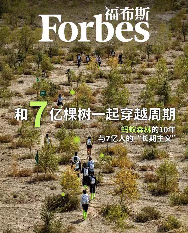 外媒想不通：不给钱、也不减税，凭什么中国人做成了西方做不成的事？今天聊点不一