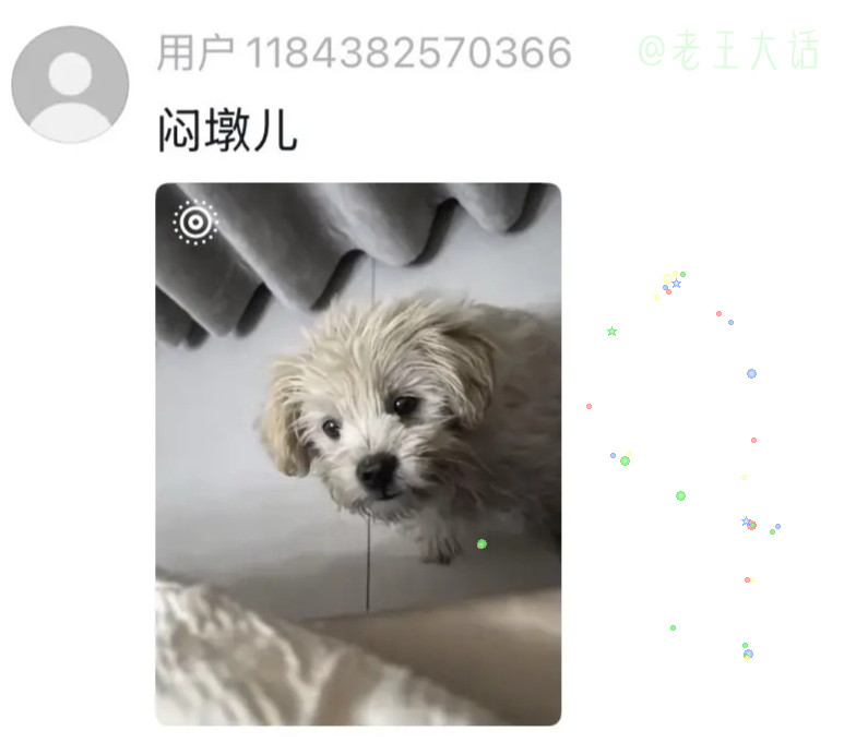 川渝人给自家宠物起名字脑洞不是一般的大！