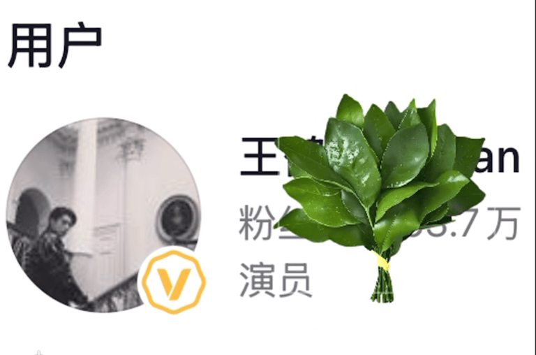 曝沈月文章抄袭享受粉丝吹捧夸赞的时候不辟谣，被网友扒出抄袭的时候秒辟谣，顺便还