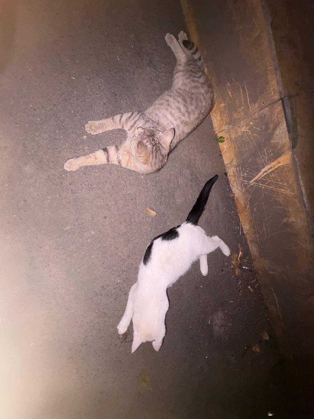 分享圖片​​​