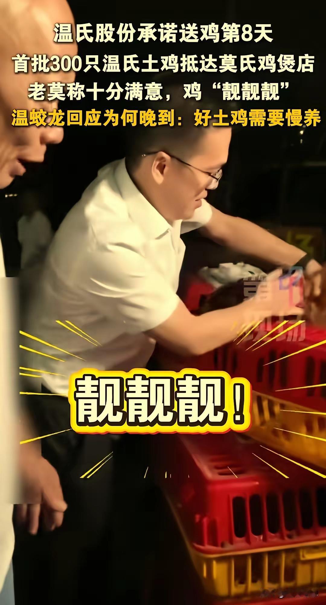 300只温氏土鸡连夜送达！老莫终于笑了，这场