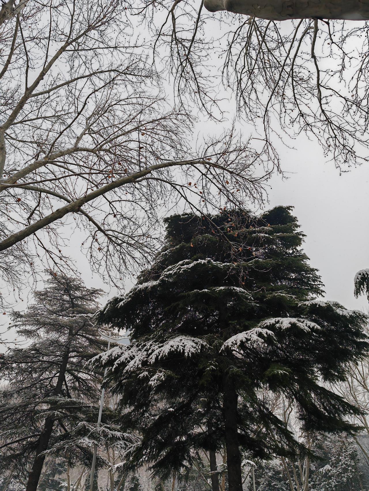 曹丕在位只有六年多时间，却三次讨伐吴国。第一次伐吴，双方大打出手，魏国没有收获；