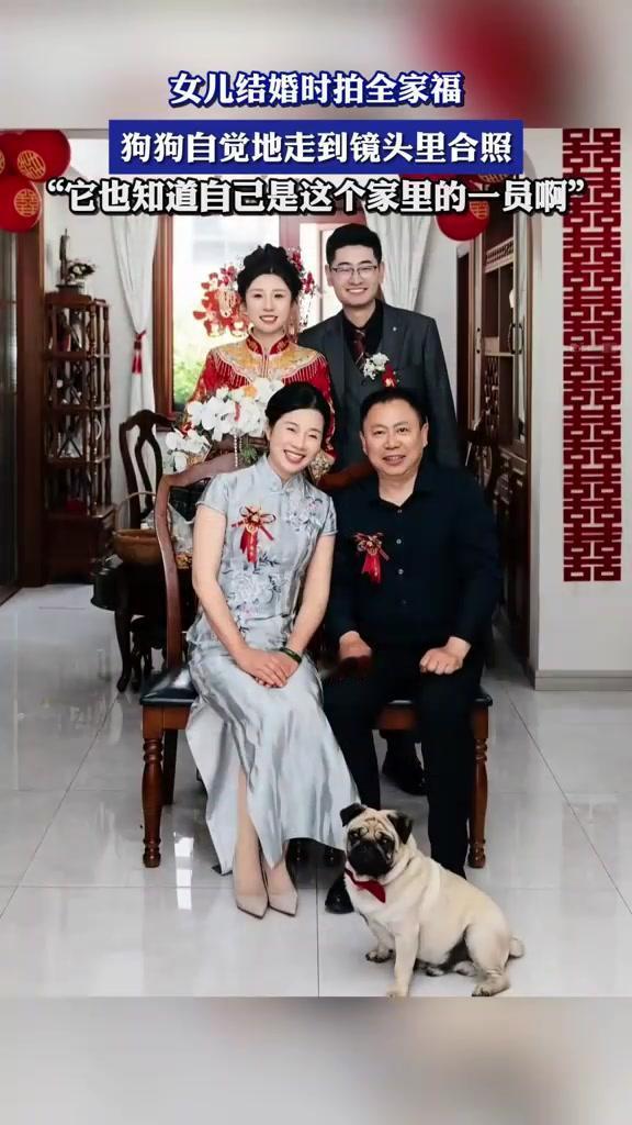 婚礼现场拍全家福时，可爱狗子竟主动闯入镜头，乖乖蹲在新人中间，萌态十足。这意外又