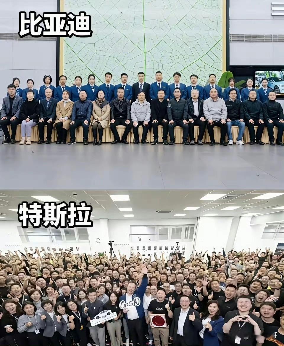 你以为比亚迪的对手是特斯拉？你以为华为手机的对手是苹果？但剥开表象你会发现：