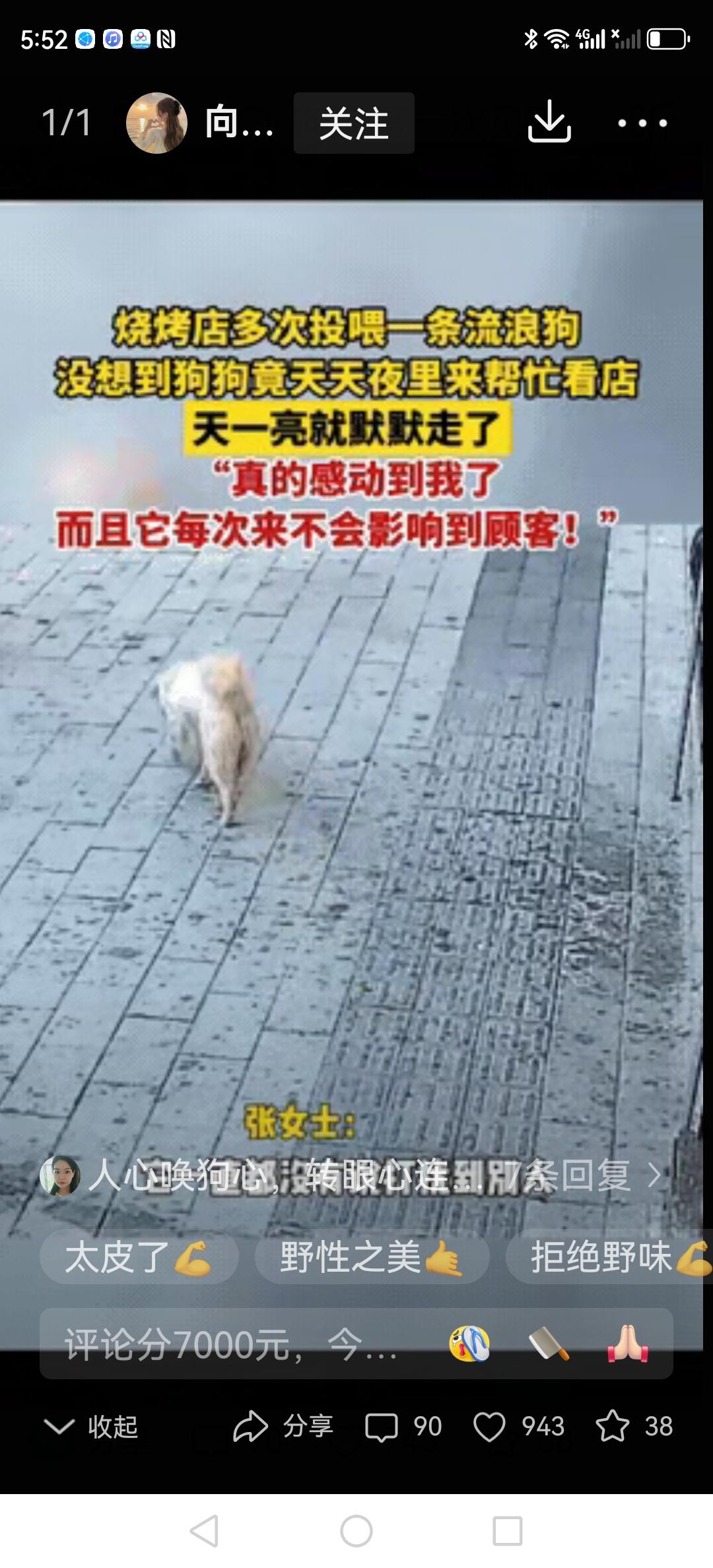 这狗怕不是成精了？长春一家烧烤店的老板娘，每天晚上收摊的时候，总能发现门口乖乖地