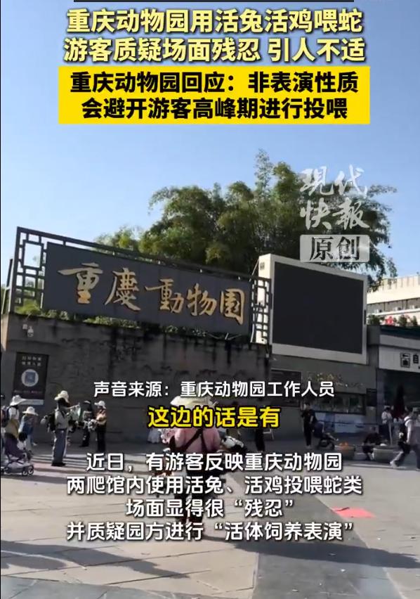 “吃饱了撑的！”重庆一动物园用活兔活鸡喂蛇引热议，游客称孩子被吓哭并质疑是“活体