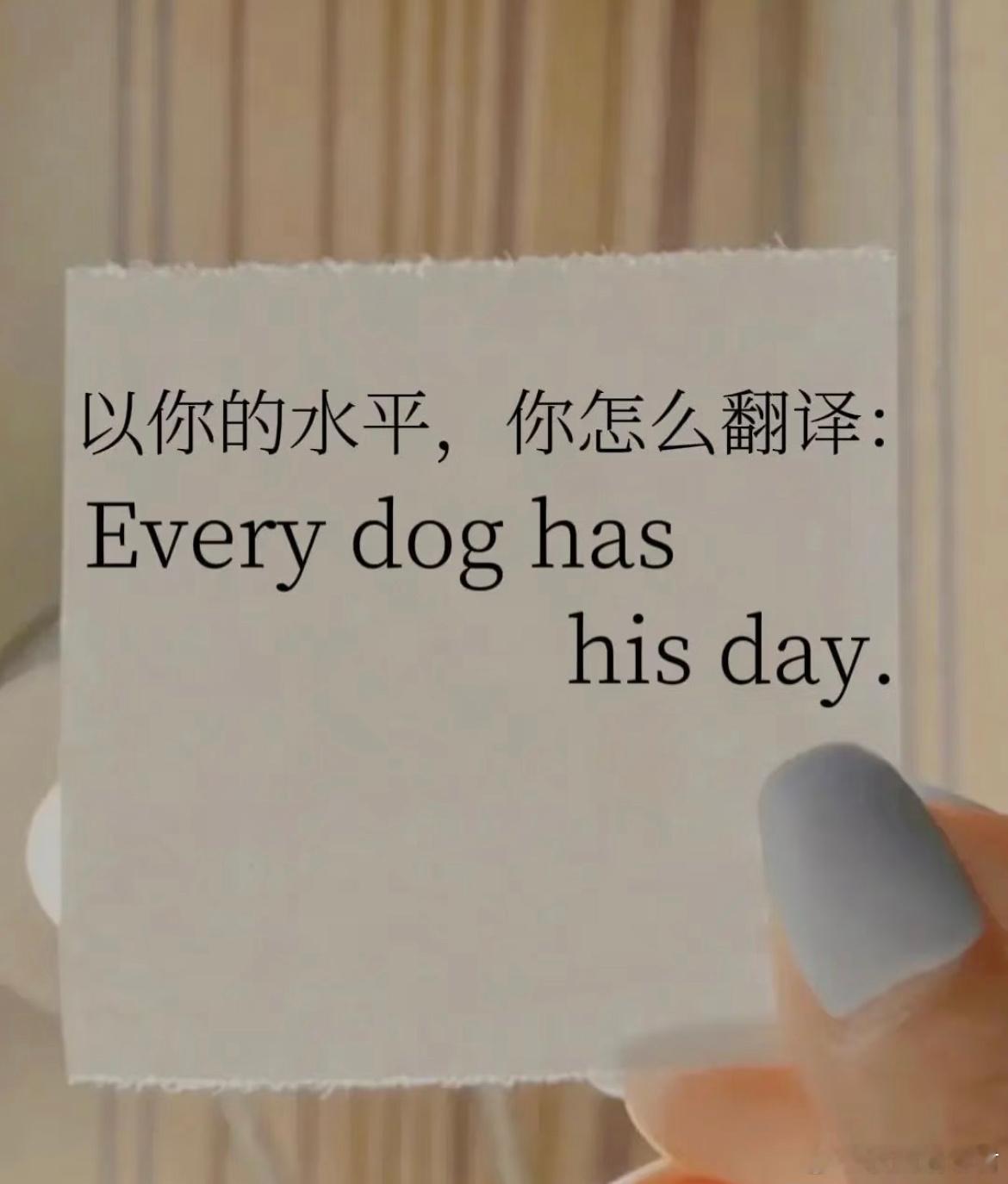 用你的英语水平翻译这句话​​​