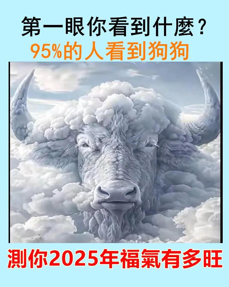 测2025年你的福气如何？当你睁开眼，第一眼看到的是什么？这个瞬间的视觉可能会