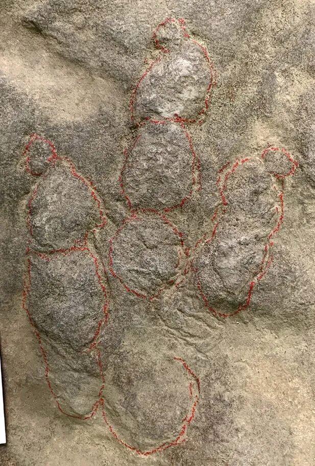 近日，四川省富顺县永年镇五里村出了件奇事：村口用了20多年的垫脚石，居然是1.8