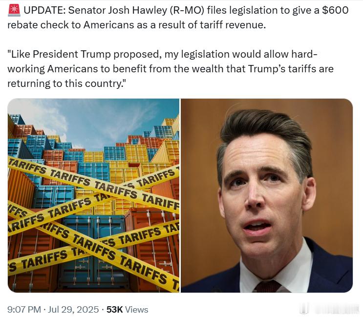 密苏里州共和党参议员乔什·霍利提出立法，计划向美国民众发放一张600美元的退税支