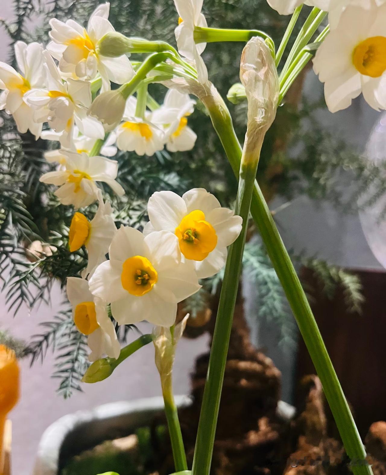 大气的人，自带福气。李斯曾说：“泰山不让土壤，故能成其大；河海不择细流，故