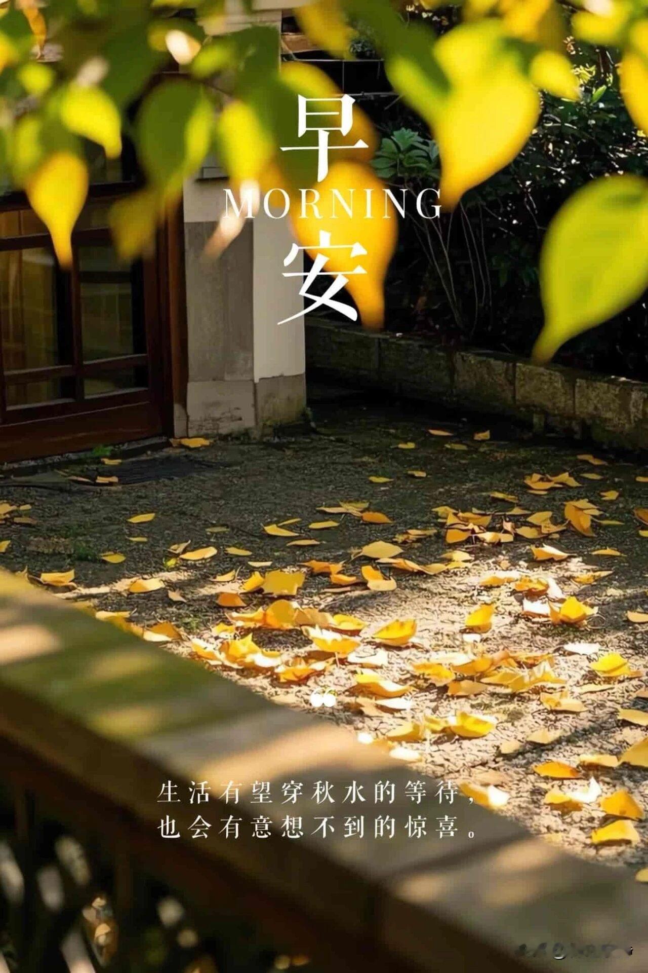 🍂²⁰²⁶/₀₈.₁₇ᵕ̈周一｜秋光向暖☕️🍒🍑🐎一缕朝阳破晓，温柔铺