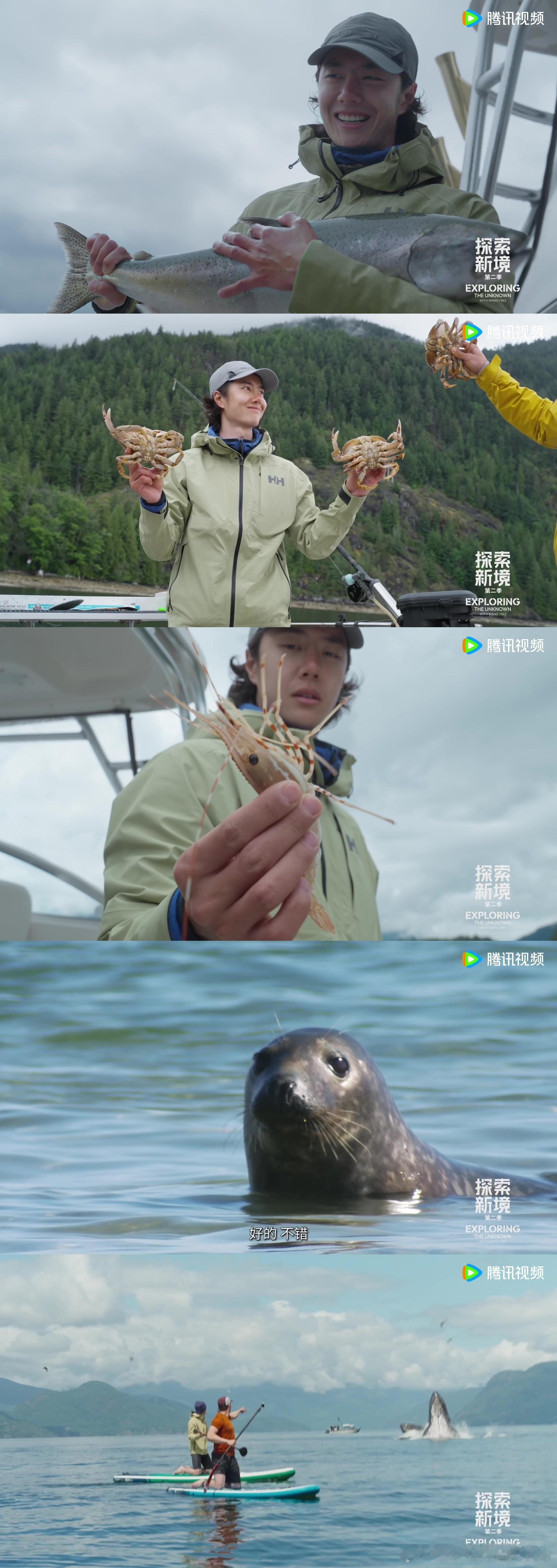 整个生物圈都在打卡王一博王一博简直拥有顶级好运，想钓鱼就有帝王鲑上钩，真的太厉害