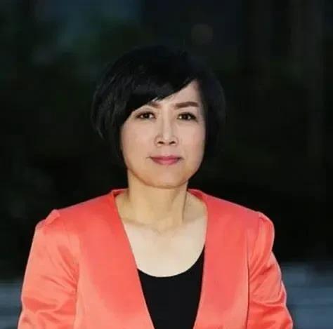黄智贤炮轰赵少康，为什么用词夸张无以复加？我在凤凰卫视中亲眼所见，赵少康投票时没