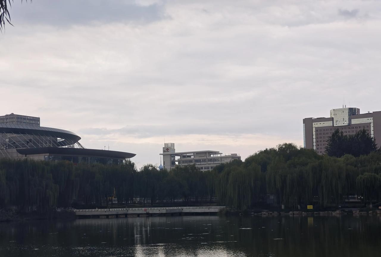 自古逢秋悲寂寥