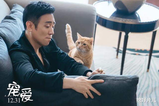 《宠爱》2天狂收2.48亿! 连续霸榜11天的《叶问4》被赶下宝座! 徐峥厉害
