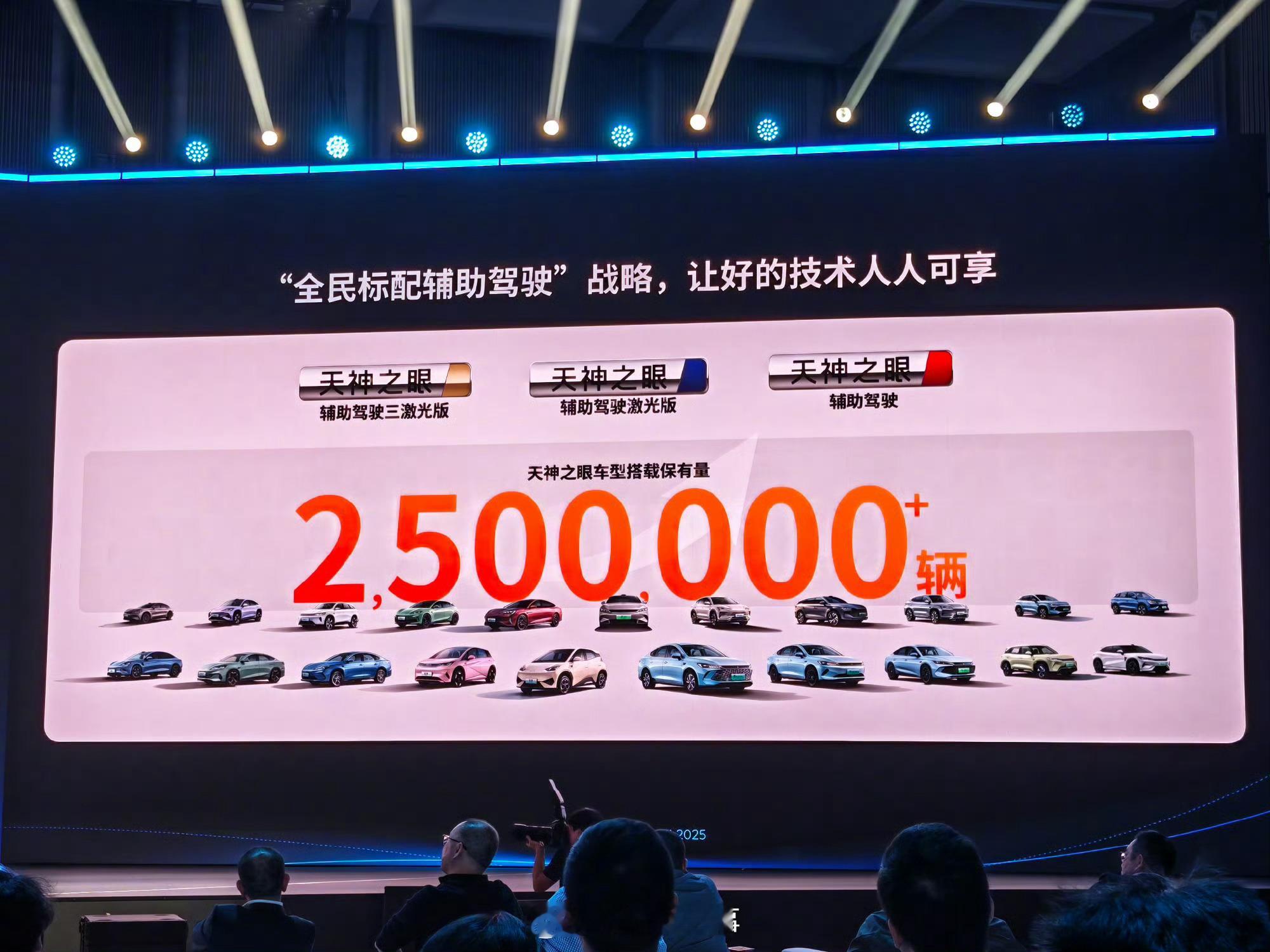 在2025地平线技术生态大会上，比亚迪集团高级副总裁、汽车新技术研究院院长杨