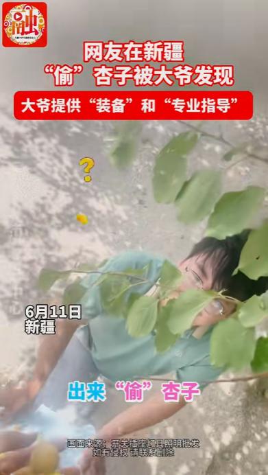 笑岔气了！一男子去新疆旅游，偷吃大爷家杏子，不料，被大爷发现，本以为大爷会骂人，
